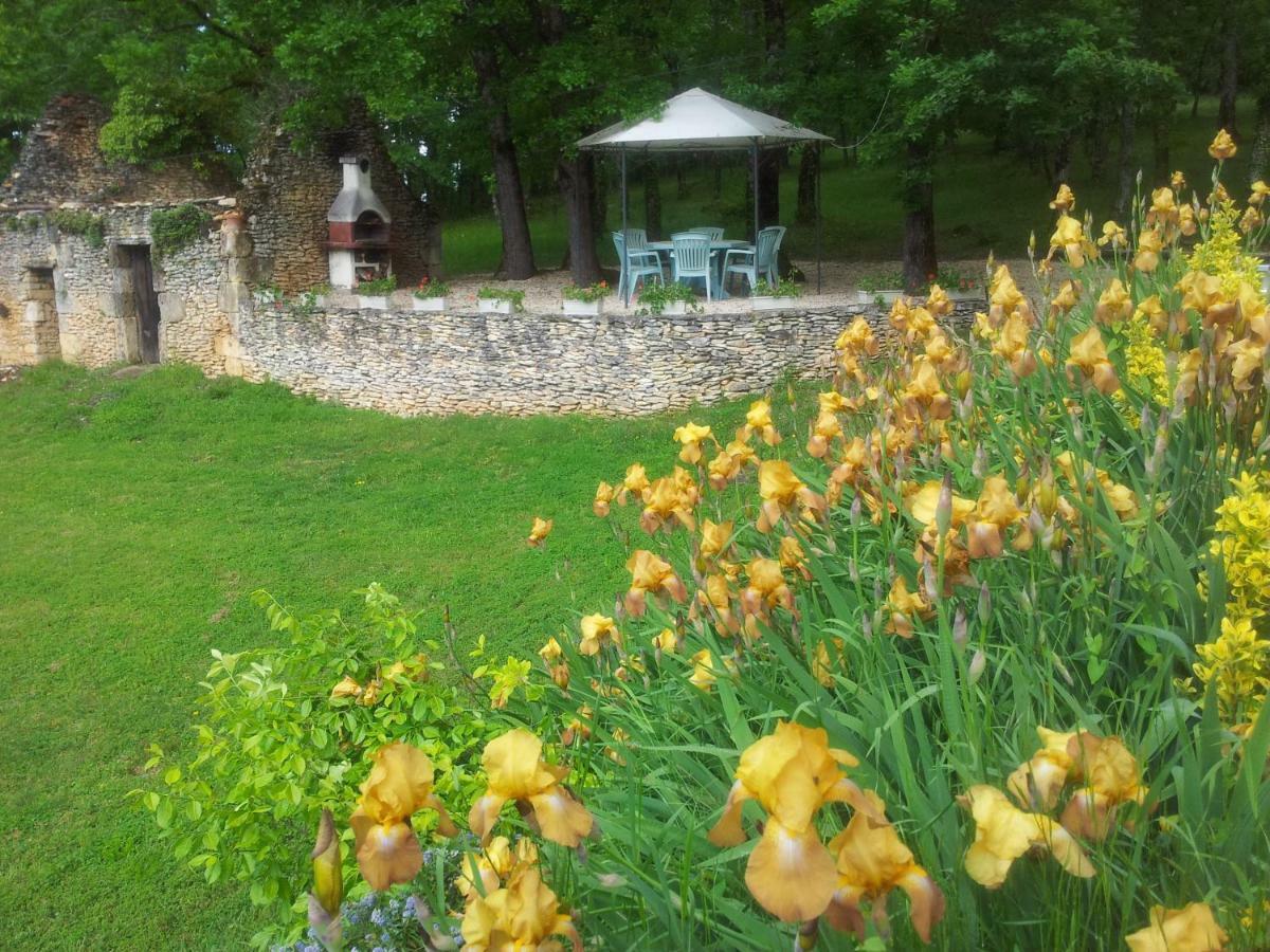 Les Feuillantines Perigord Noir Bed & Breakfast Saint-Cyprien  Exterior photo