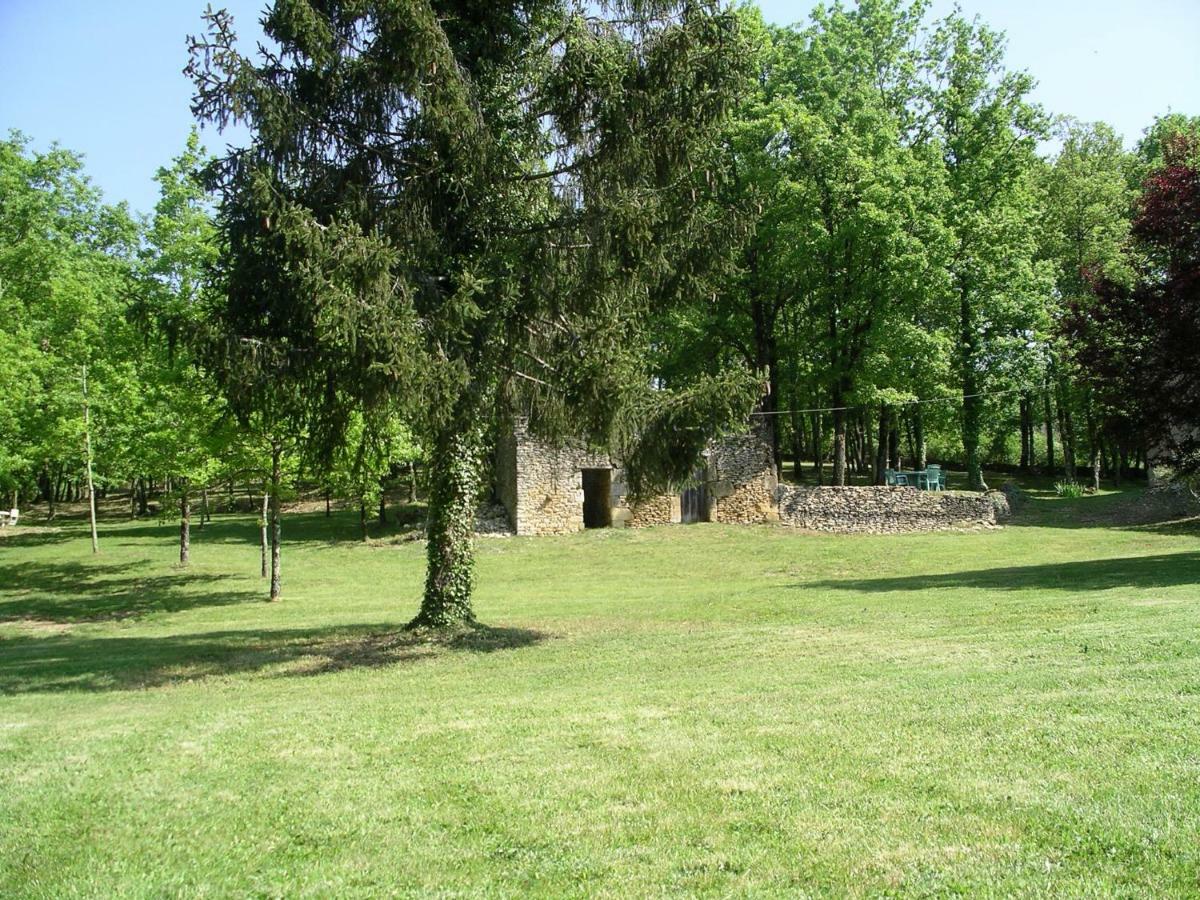 Les Feuillantines Perigord Noir Bed & Breakfast Saint-Cyprien  Exterior photo